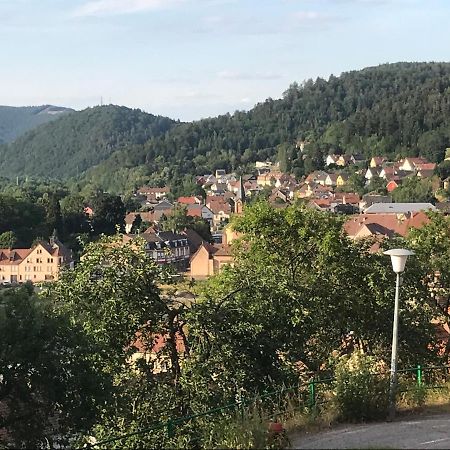 Apartament Chez Jose Rothau Zewnętrze zdjęcie